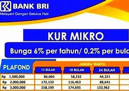 Pinjaman Bri 10 Juta Angsuran Berapa